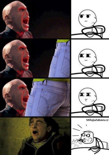 Harry Potter a Voldemort