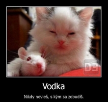Vodka- nikdy nevieš, s kým sa zobudíš